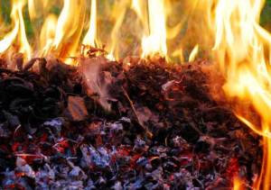 burning leaves