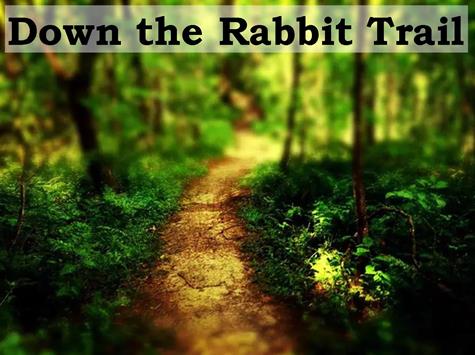 Down the Rabbit Trail