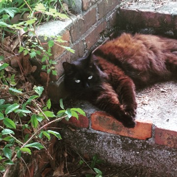 Kelly on Brick Steps
