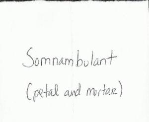 somnambulant prompt