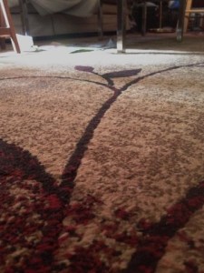 Rug Close Up