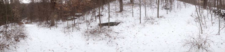 Old Sledding Hill