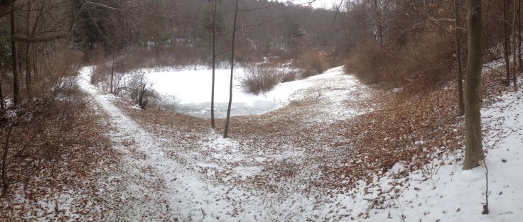 The Pond in Panorama