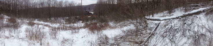 The Red Shale Pit