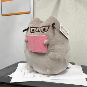 pusheen reading plush